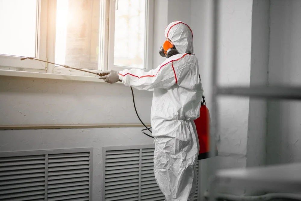 Professional mold remediation services in Dadeville, AL
